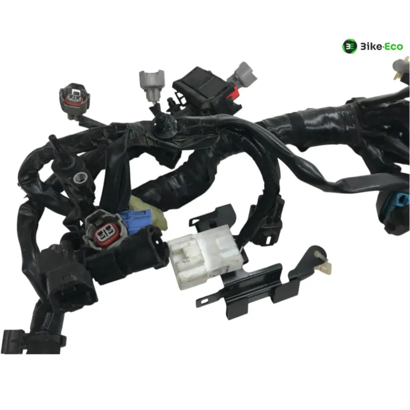 Faisceau electrique KAWASAKI Z 900 RS 2018-2019