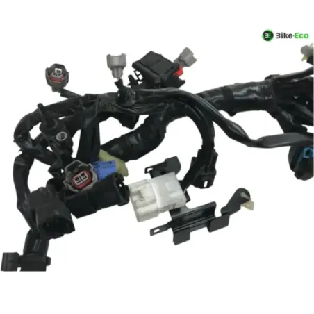 Faisceau electrique KAWASAKI Z 900 RS 2018-2019