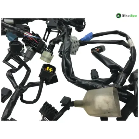 Faisceau electrique KAWASAKI Z 900 RS 2018-2019
