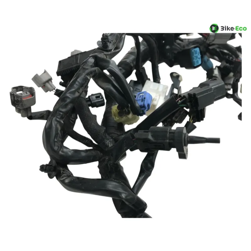 Faisceau electrique KAWASAKI Z 900 RS 2018-2019