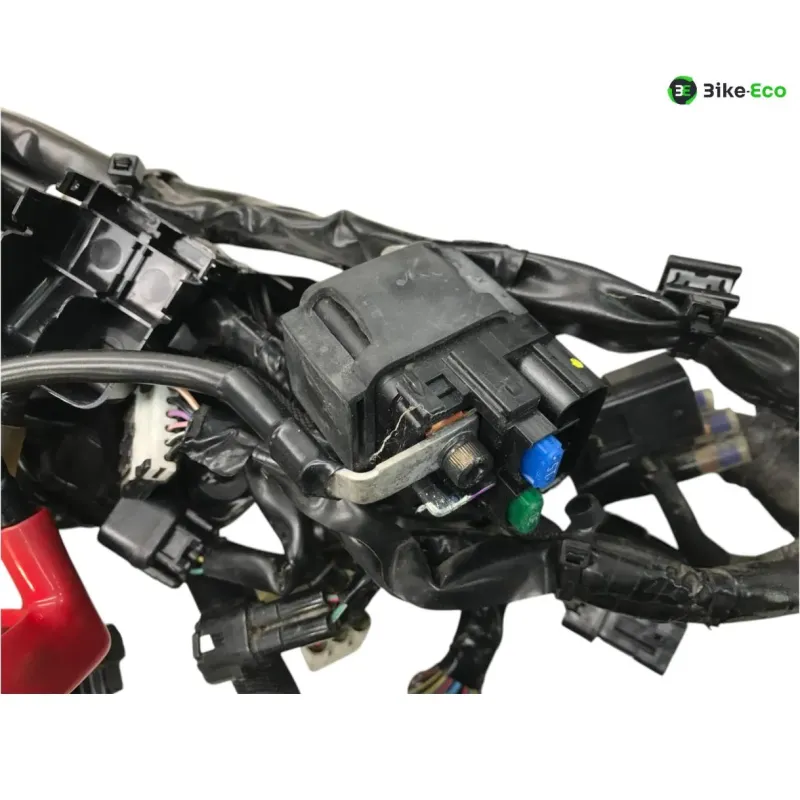 Faisceau electrique KAWASAKI Z 900 RS 2018-2019