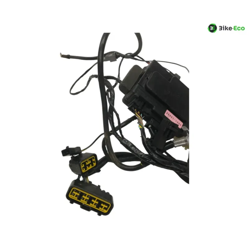 Faisceau electrique KAWASAKI ZX6 R 600 2000-2001 NINJA