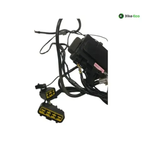 Faisceau electrique KAWASAKI ZX6 R 600 2000-2001 NINJA