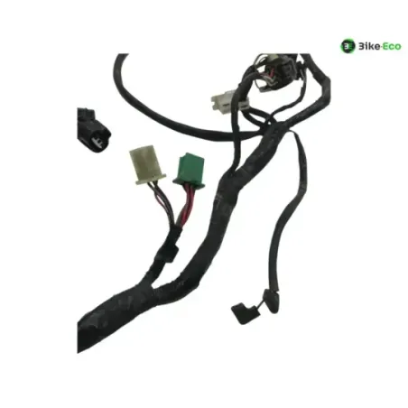 Faisceau electrique KAWASAKI ZX6 R 600 2000-2001 NINJA
