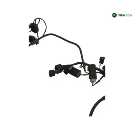 Faisceau electrique KAWASAKI ZX6 R 600 2000-2001 NINJA