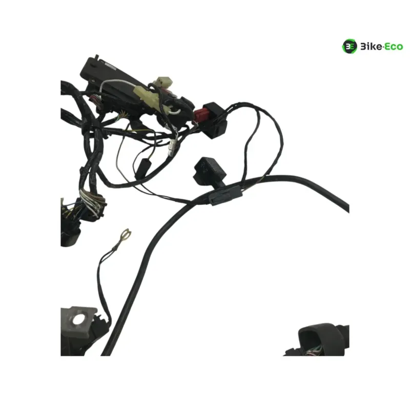 Faisceau electrique KAWASAKI ZX6 R 600 2000-2001 NINJA