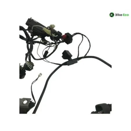 Faisceau electrique KAWASAKI ZX6 R 600 2000-2001 NINJA