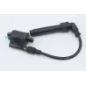 Bobine allumage KAWASAKI Z 125 ABS 2019 - 2020 Bobine allumage KAWASAKI Z 125 ABS 2019 - 2020
