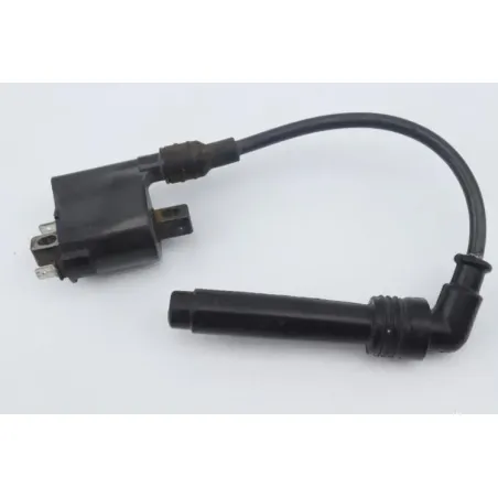 Bobine allumage KAWASAKI Z 125 ABS 2019 - 2020