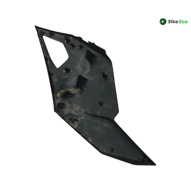 Cache flanc de carenage droit KAWASAKI NINJA 1000 2020-2024 SX
