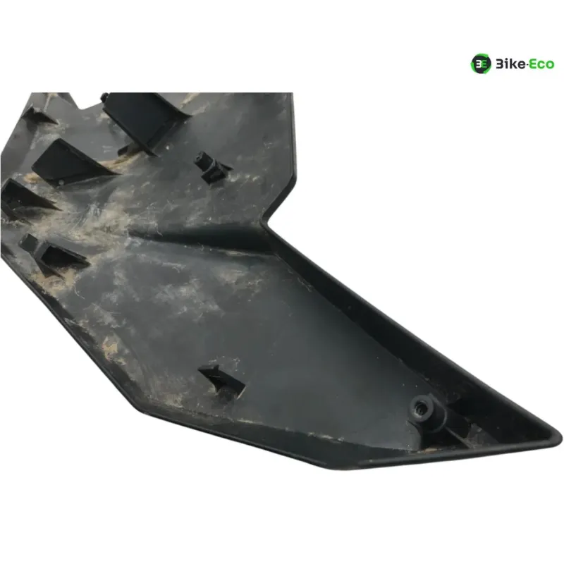 Cache flanc de carenage droit KAWASAKI NINJA 1000 2020-2024 SX