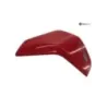 Cache flanc de carenage droit DUCATI MULTISTRADA 950 2017-2021 Cache flanc de carenage droit DUCATI MULTISTRADA 950 2017-2021