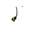 Ventilateur droit DUCATI MULTISTRADA 950 2017-2021 Ventilateur droit DUCATI MULTISTRADA 950 2017-2021