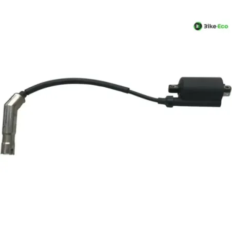 Bobine allumage PEUGEOT KISBEE 50 2018-2020 4T