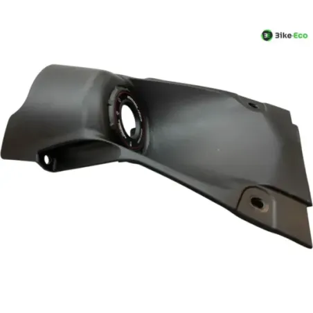 Entourage neiman KAWASAKI Z 900 2020-2022 A2