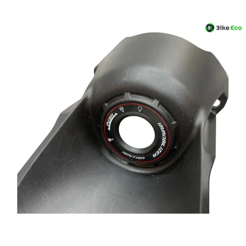 Entourage neiman KAWASAKI Z 900 2020-2022 A2