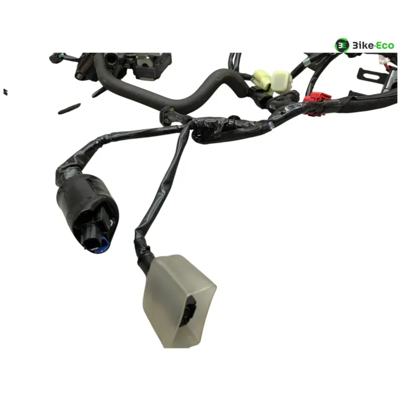 Faisceau electrique KAWASAKI Z 900 2020-2022 A2