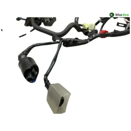 Faisceau electrique KAWASAKI Z 900 2020-2022 A2