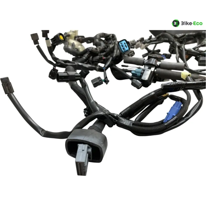 Faisceau electrique KAWASAKI Z 900 2020-2022 A2