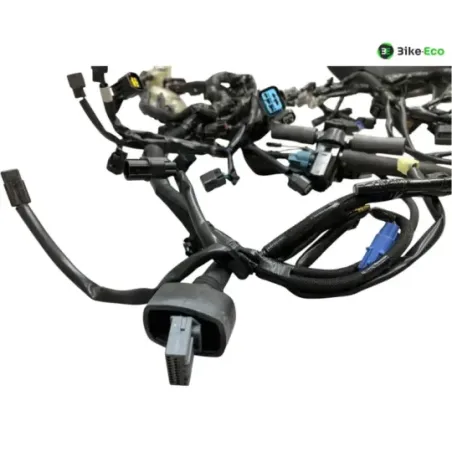 Faisceau electrique KAWASAKI Z 900 2020-2022 A2