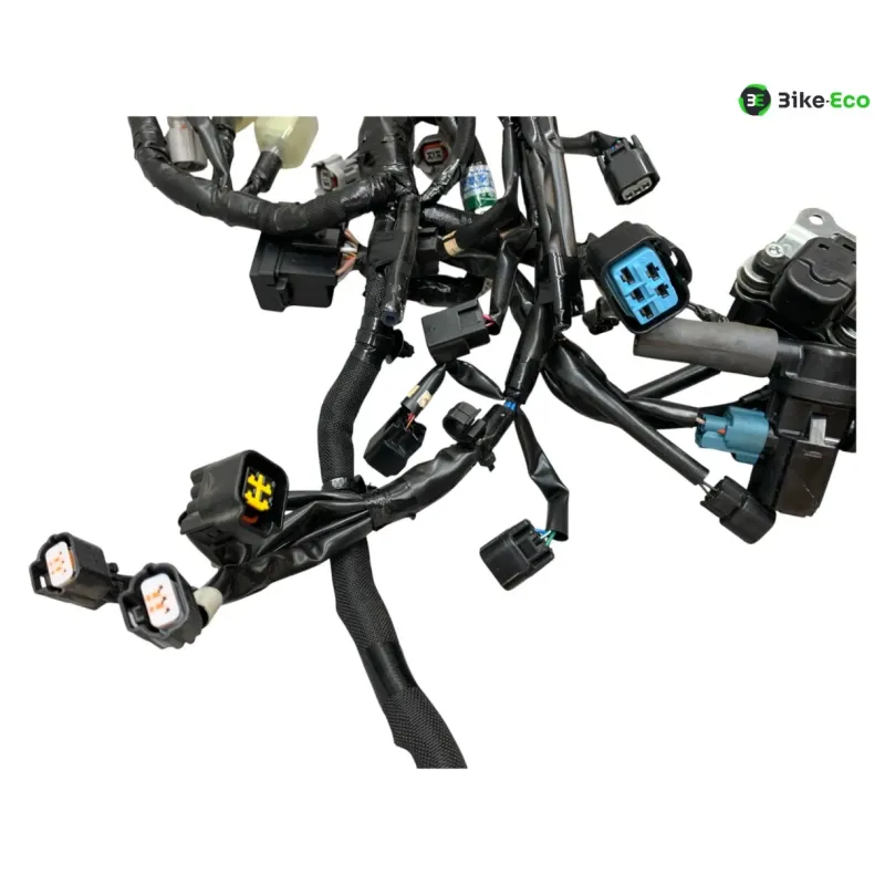 Faisceau electrique KAWASAKI Z 900 2020-2022 A2