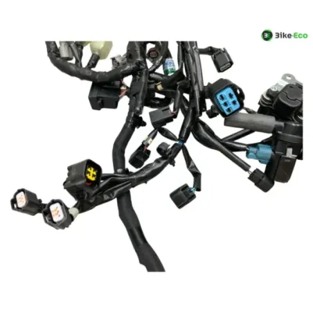 Faisceau electrique KAWASAKI Z 900 2020-2022 A2