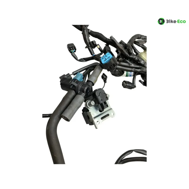 Faisceau electrique KAWASAKI Z 900 2020-2022 A2