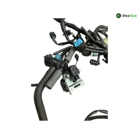 Faisceau electrique KAWASAKI Z 900 2020-2022 A2
