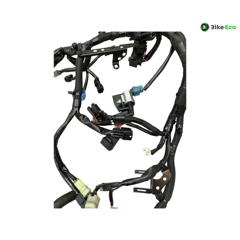 Faisceau electrique KAWASAKI Z 900 2020-2022 A2
