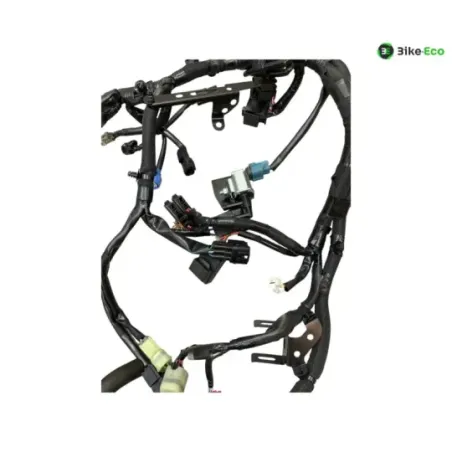 Faisceau electrique KAWASAKI Z 900 2020-2022 A2