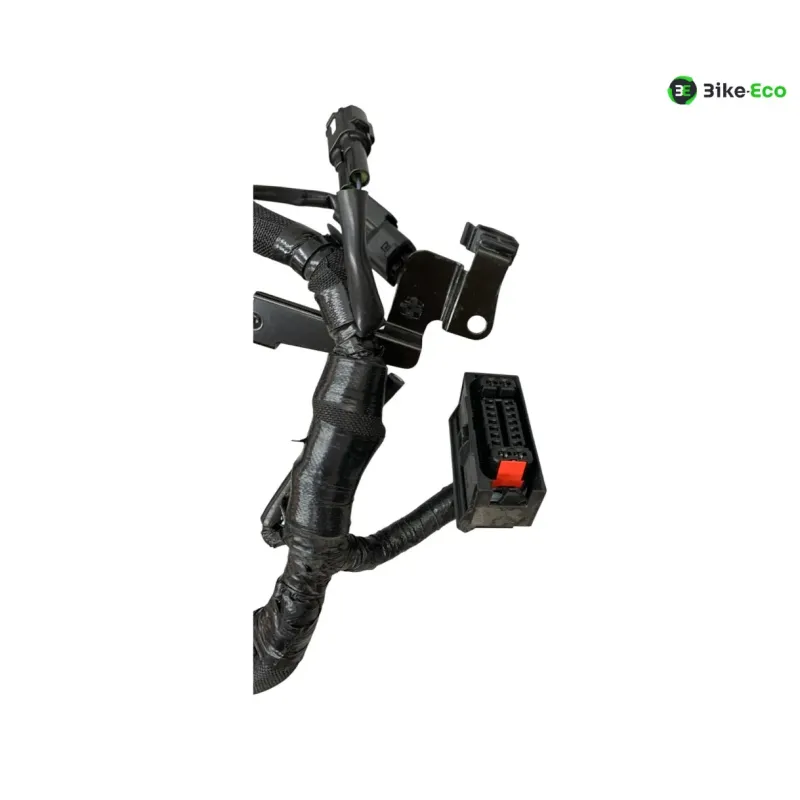 Faisceau electrique KAWASAKI Z 900 2020-2022 A2