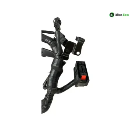 Faisceau electrique KAWASAKI Z 900 2020-2022 A2