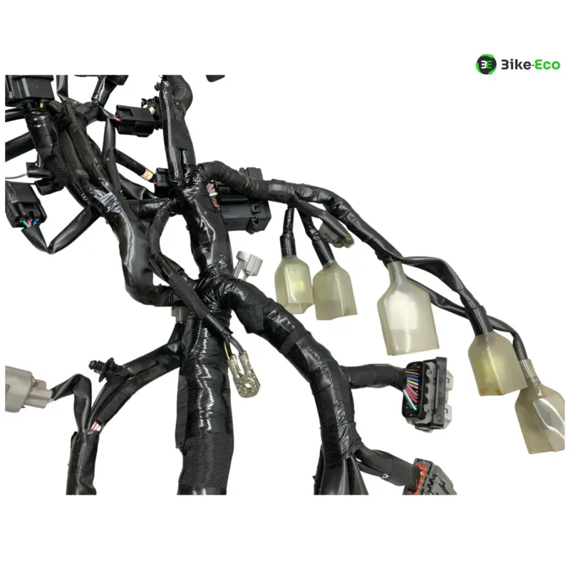Faisceau electrique KAWASAKI Z 900 2020-2022 A2