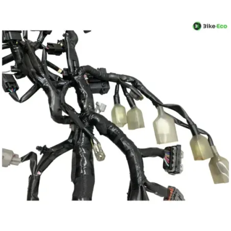 Faisceau electrique KAWASAKI Z 900 2020-2022 A2