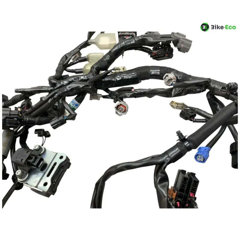 Faisceau electrique KAWASAKI Z 900 2020-2022 A2