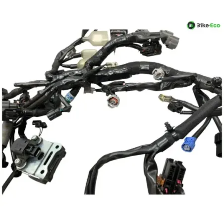 Faisceau electrique KAWASAKI Z 900 2020-2022 A2