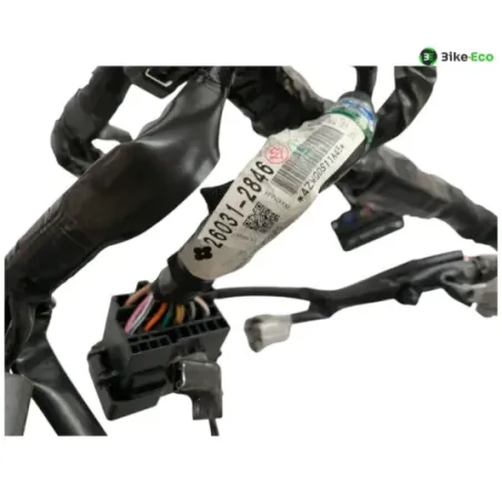 Faisceau electrique KAWASAKI Z 900 2020-2022 A2