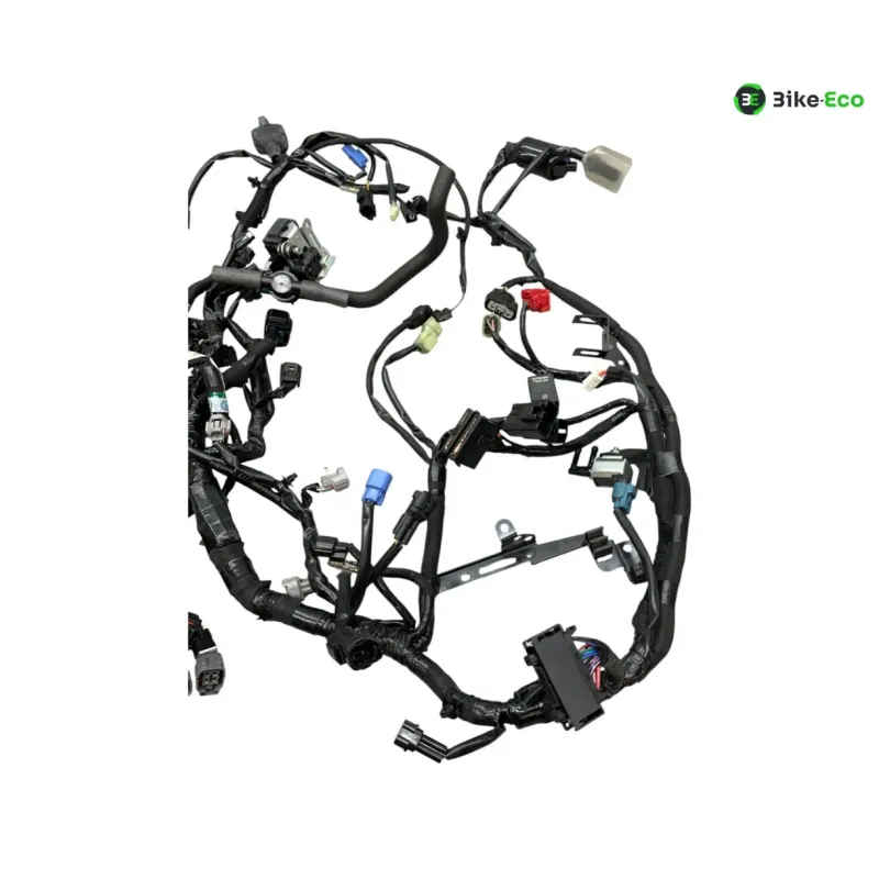 Faisceau electrique KAWASAKI Z 900 2020-2022 A2