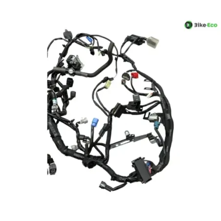 Faisceau electrique KAWASAKI Z 900 2020-2022 A2