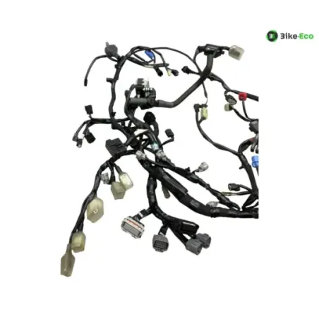 Faisceau electrique KAWASAKI Z 900 2020-2022 A2