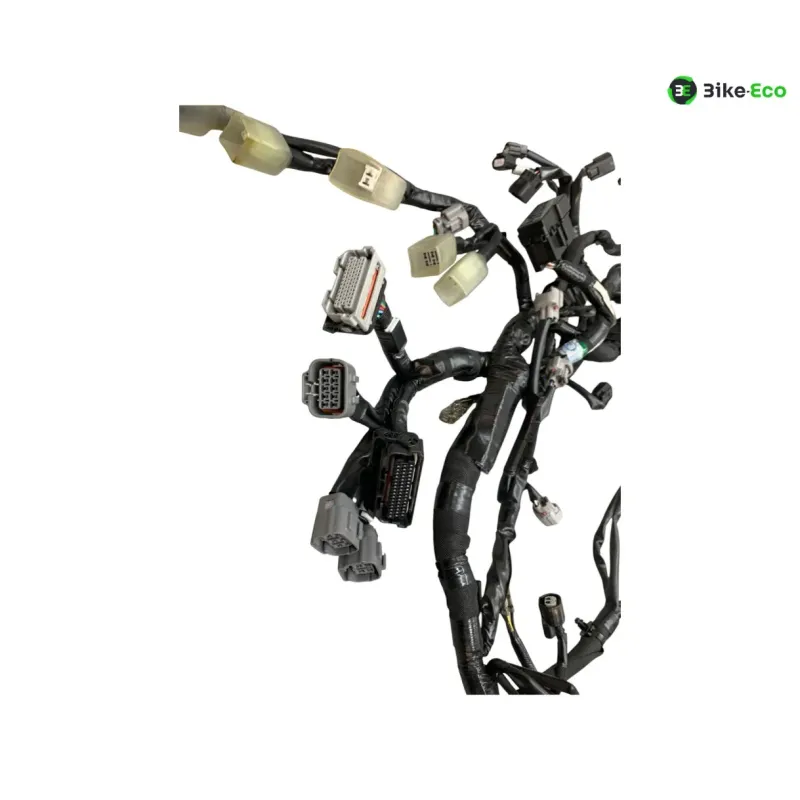 Faisceau electrique KAWASAKI Z 900 2020-2022 A2