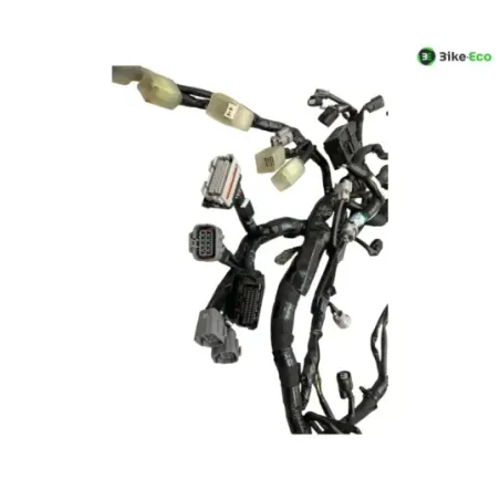 Faisceau electrique KAWASAKI Z 900 2020-2022 A2