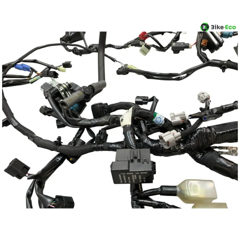 Faisceau electrique KAWASAKI Z 900 2020-2022 A2