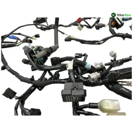 Faisceau electrique KAWASAKI Z 900 2020-2022 A2