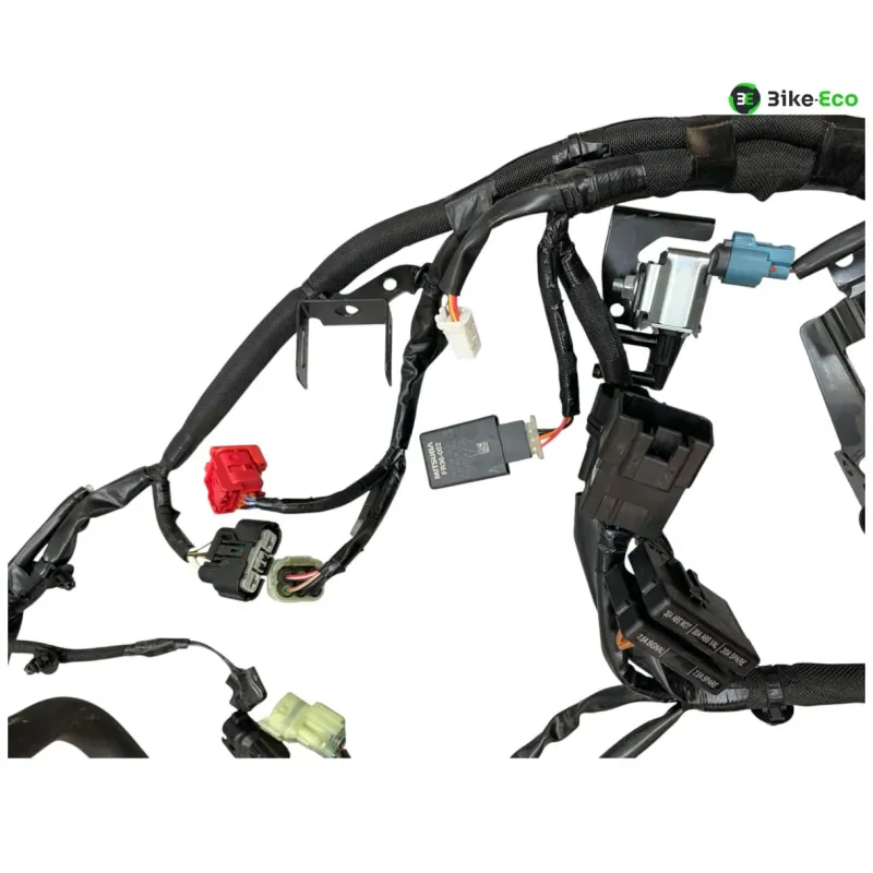 Faisceau electrique KAWASAKI Z 900 2020-2022 A2