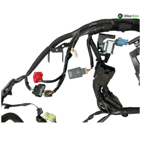 Faisceau electrique KAWASAKI Z 900 2020-2022 A2