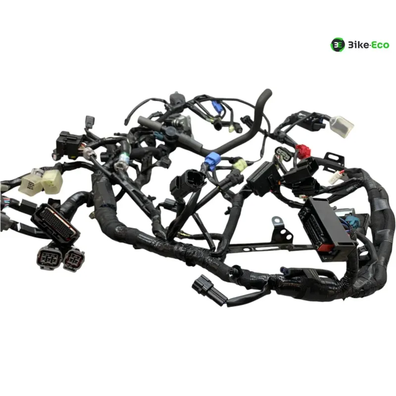 Faisceau electrique KAWASAKI Z 900 2020-2022 A2