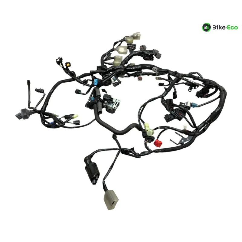 Faisceau electrique KAWASAKI Z 900 2020-2022 A2