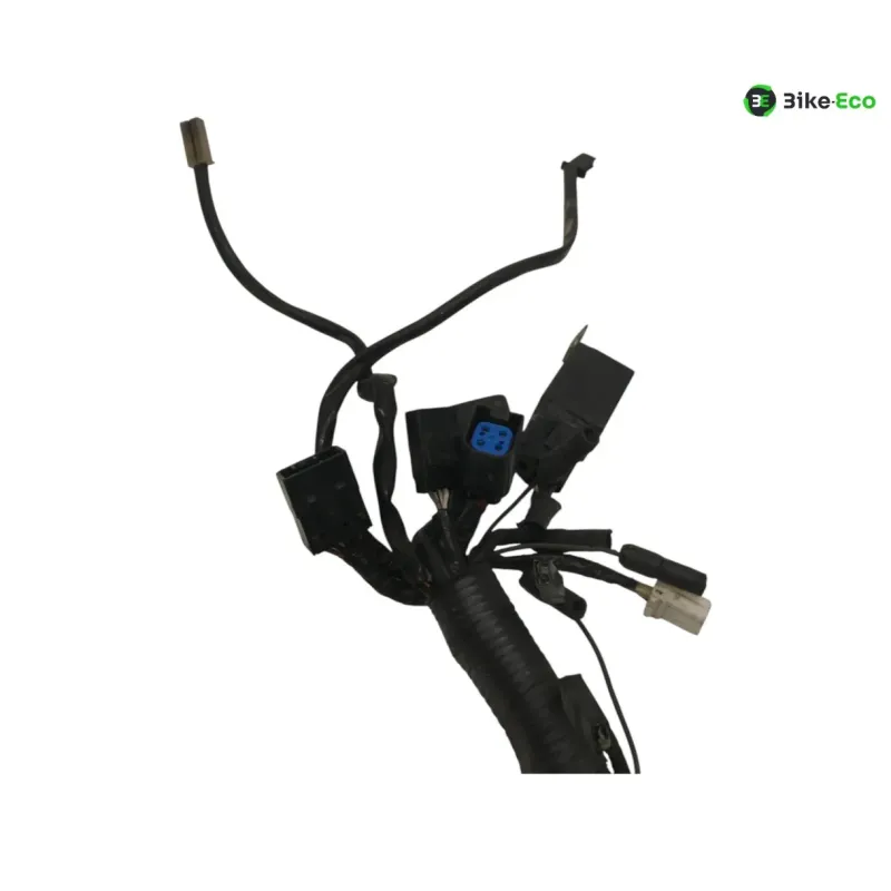 Faisceau electrique BUELL XB9S 1000 2005-2010 LIGHTNING CITY CROSS