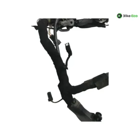 Faisceau electrique BUELL XB9S 1000 2005-2010 LIGHTNING CITY CROSS